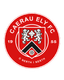 Caerau Ely