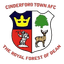 Cinderford Town First