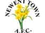 Newent Town