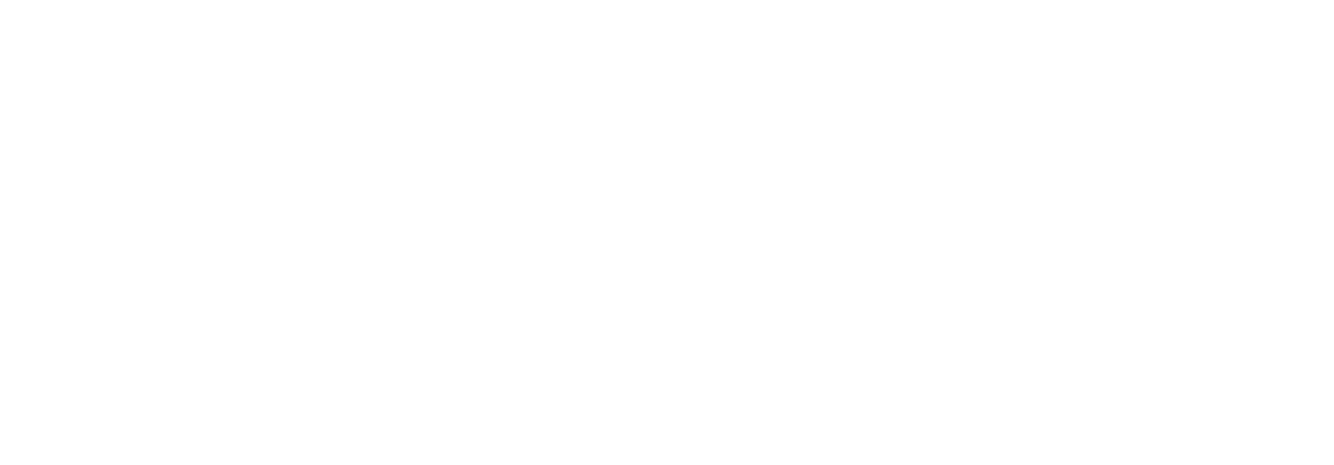 Network Data Services logo